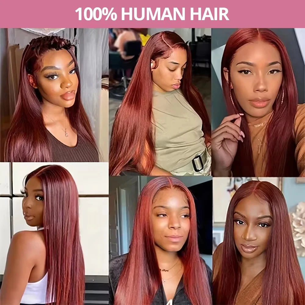 Chocolate Brown Lace Front Wig